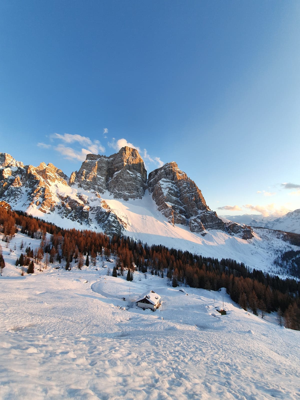 Locandina-Workshop-Panificazione-Ottobre-2023